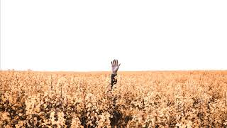 Lamb - Brockhampton Knapsack & Nebita Remix