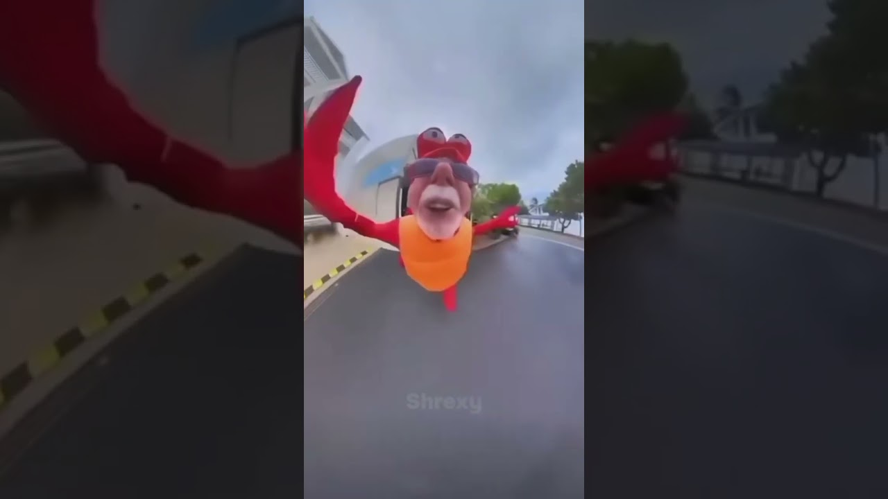 Memes I found on the internet p1 