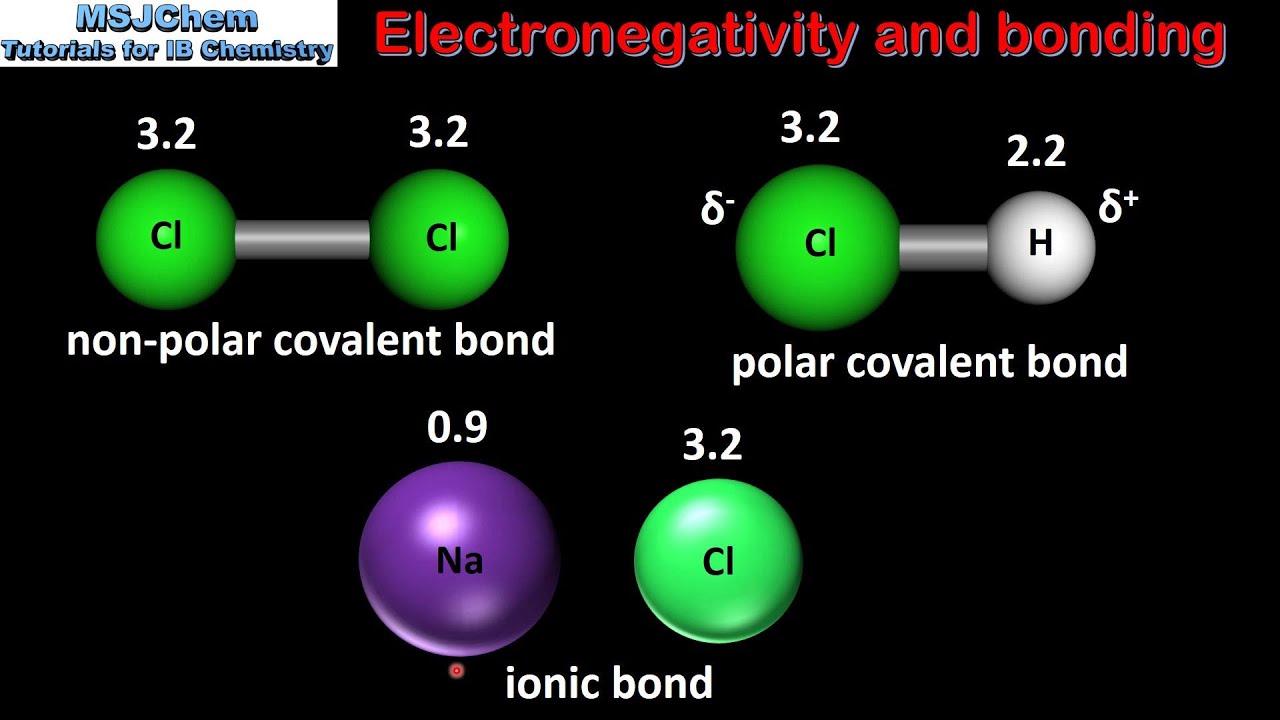 Difference between polar and nonpolar examples