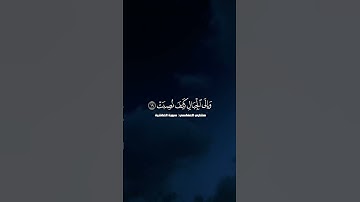 أفلا ينظرون إلى الإبل كيف خلقت _ماتيسر من سورة الغاشية #قرآن