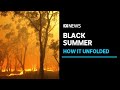 One year on, ABC News looks back at how Australia's Black Summer bushfire crisis unfolded | ABC News