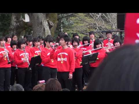 あけぼの山公園さくらまつり、市立柏高校吹奏楽部演奏②