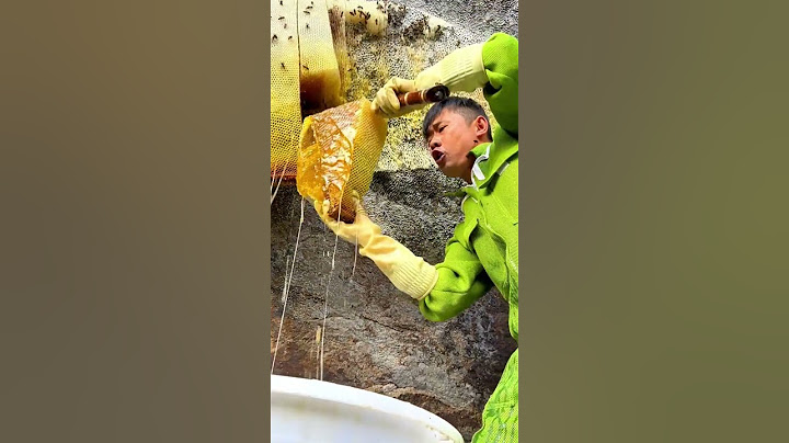 The Full Process of Harvesting Pure Natural Honey: Experience the Hard Work!