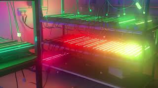 5 Years warranty Top quality Color Pixel Bar 