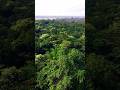 Subarnarekha river ,Merumatha view point drone shot, Mayurbhanj,Odisha #naturevibes #peace #boating