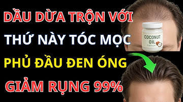Cách Trị Rụng Tóc Bằng Dầu Dừa – Mọc Tóc Nhanh Gấp 3 Lần, An Toàn Tại Nhà!