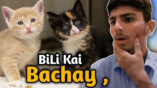 Bili Nai Diye Bachay 😱🫣|Yeah Kab hoa Pata he nahi Chala 😂|Mr Abbasi Vlogs