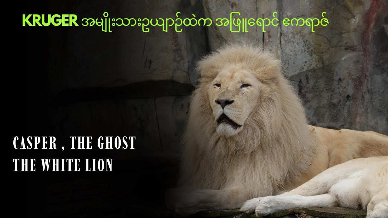 Kruger National Park ထဲက အဖြူရောင် သေမင်းတမန် Casper