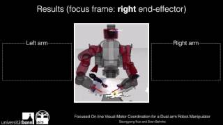 Focused Online Visual-Motor Coordination for a Dual-Arm Robot Manipulator