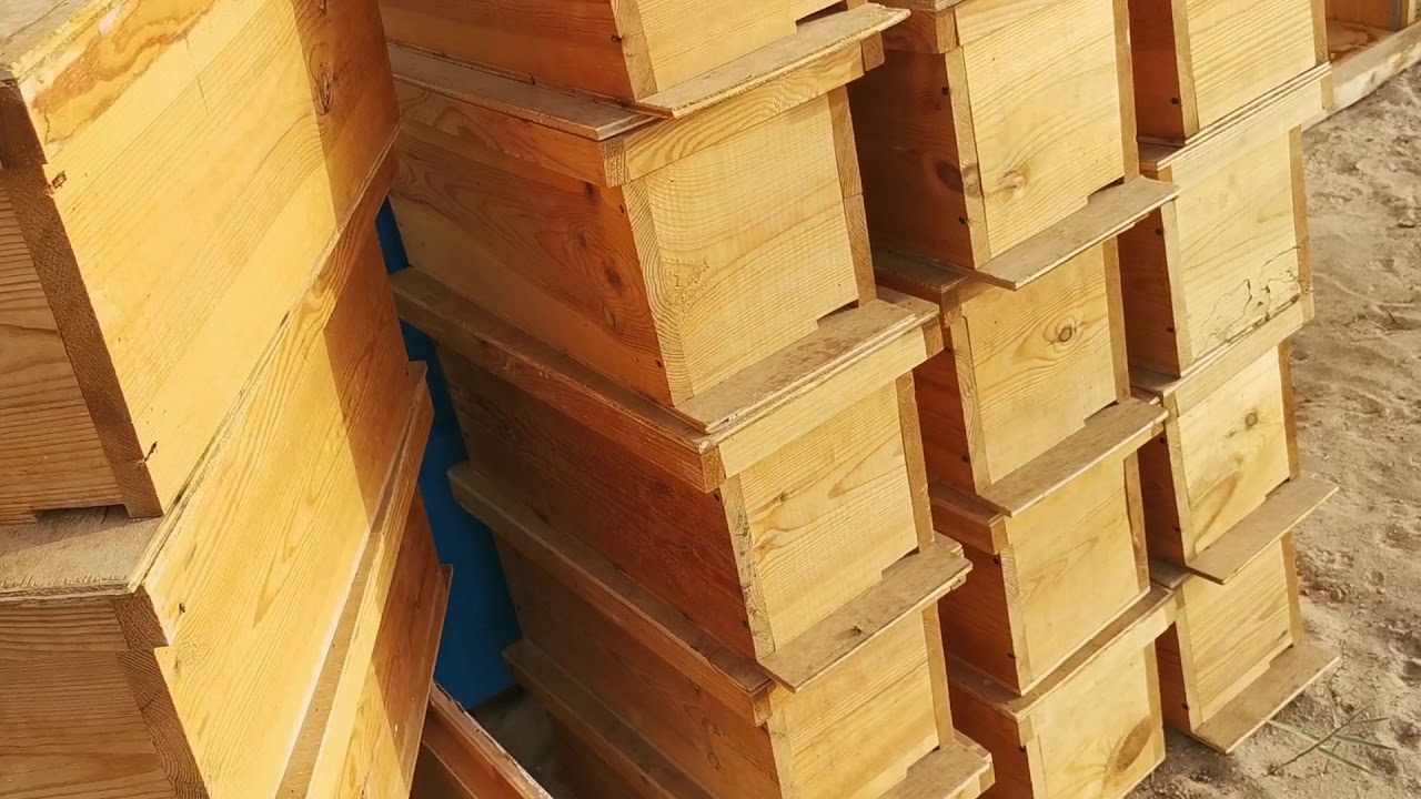 النخل والنحل في نجم سعد السعود