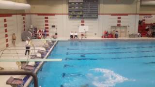 1m diving 303c
