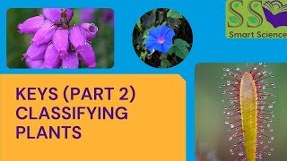 Scientific Keys | Identifying Plants | Recognition of Wild Flowers
