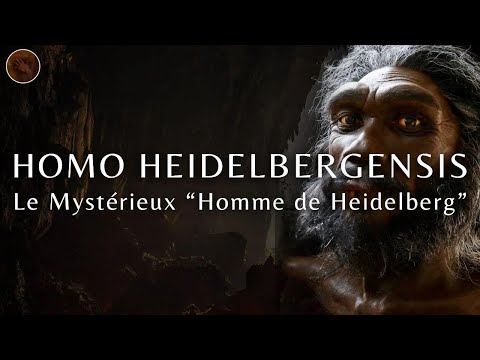 Homo Heidelbergensis : le mystère de l’Homme de Heidelberg | Documentaire Préhistoire