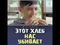 Этот хлеб нас убивает