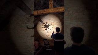 Eles perderam sua casa!!? #animals #curiosidades #terror