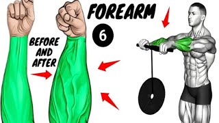 6 Best Exercises for Bigger Forearms | 6 min a day to Improve Your Forearms #forearmworkout