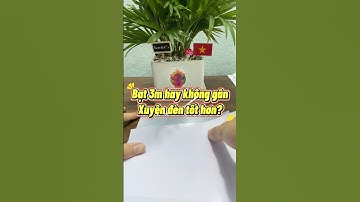 SỰ KHÁC NHAU GIỮA BẠT KHÔNG GÂN VÀ BẠT 3M HÀN QUỐC - IN UV BẠT QUẢNG CÁO - XƯỞNG IN UV