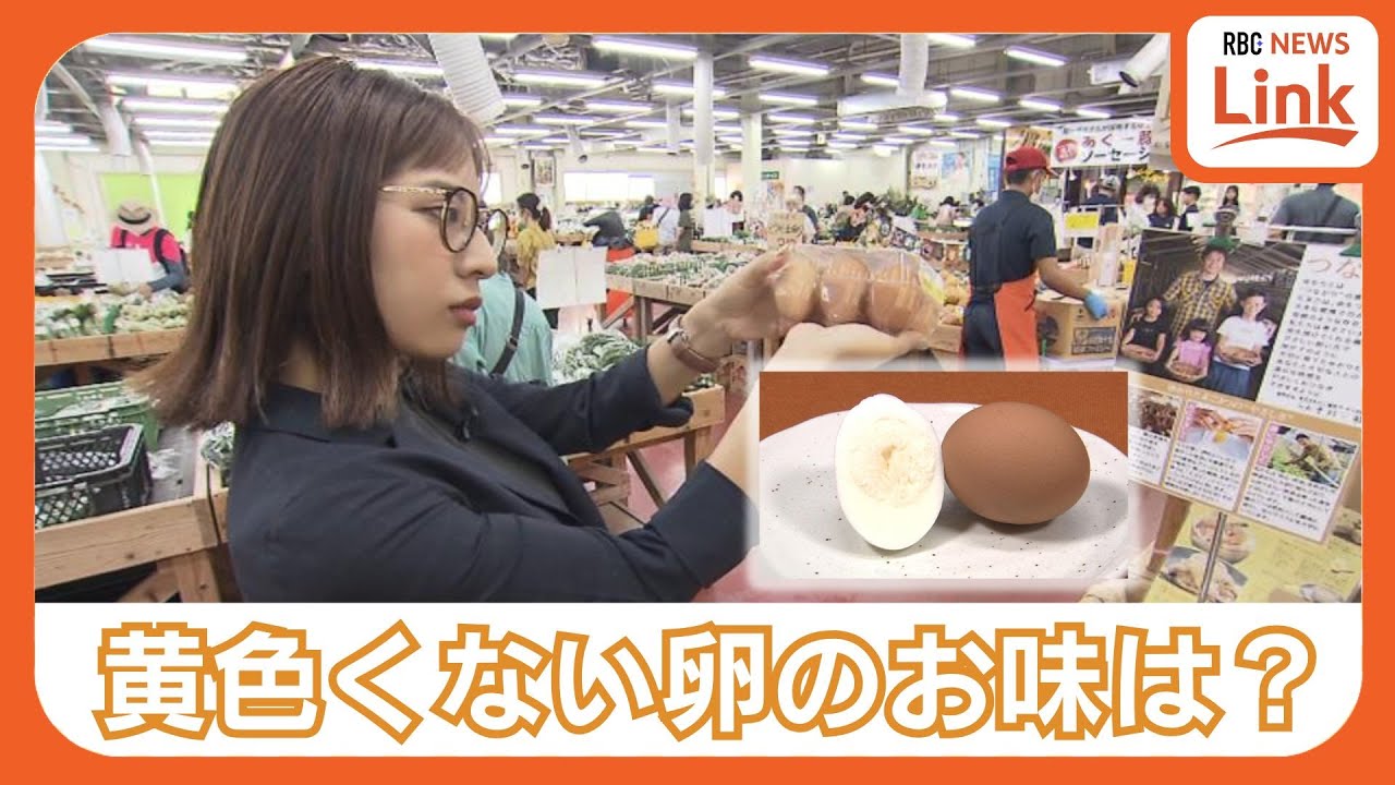 沖縄で唯一！ 卵黄がまったく黄色くないたまご 一体全体、黄身の名は