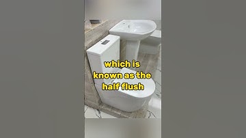 why is the toilet designed with 2 flush buttons. #shorts #facts