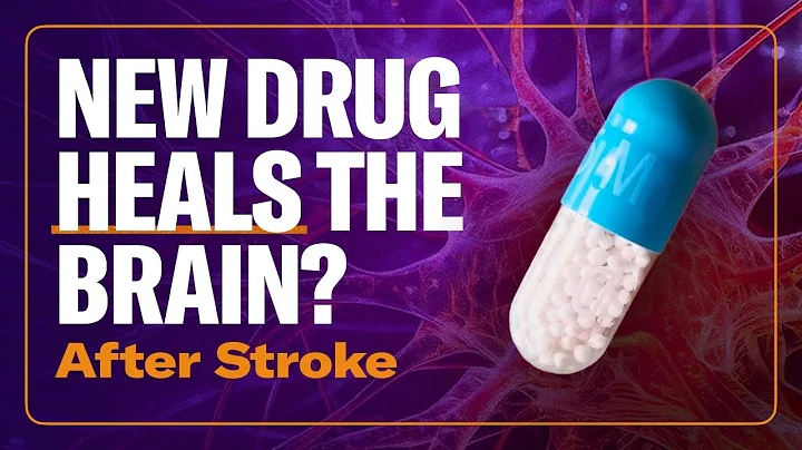 The First Stroke Rehab Drug Shown to Heal the Brain – New Study Explained