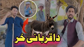 Da Qurbani Khar Pashto Funny | Afaq Aw Nafees 2024