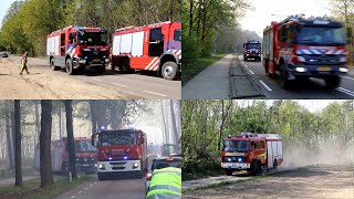 [Zeer Grote Brand] Internationale bijstand voor enorme natuurbrand in Limburgse Meinweg  20200421