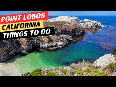 Is There A Charge For Point Lobos State Park