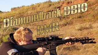 Diamondback DB10 DMR 700 Yard Rifle