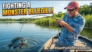 BLUEGILL FISHING - Fishing Beginners Guide