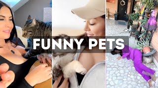 Funny Cat, Dog &amp; Animal Videos | Funny Pets Compilation - 3