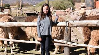 Humahuaca - Provincia de Jujuy