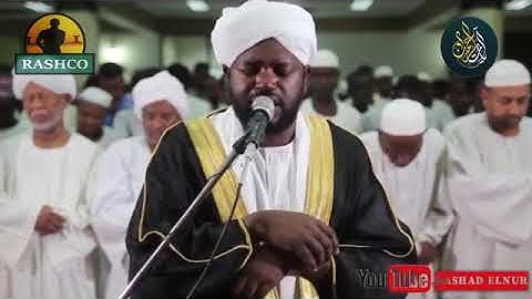 الشيخ نورين سورة الضحي