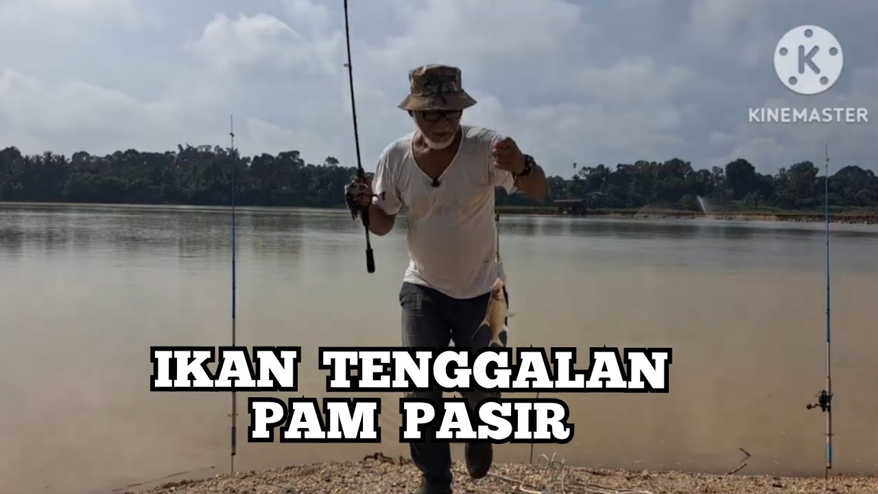 Strike Ikan Tenggalan Saiz Aquarium