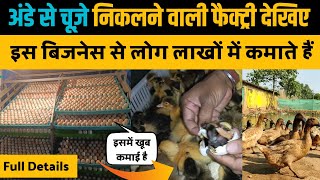 हैचरी की A-Z जानकारी। Hatchery Complete Details। Hatchery Full Information। Duck Farming। Hatching