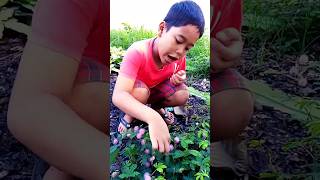 Jhon Bertemu Putri Pemalu