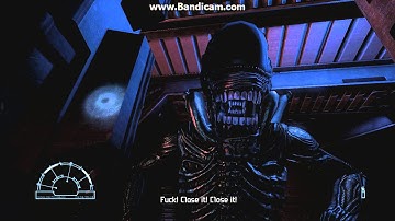 Alien Vs Predator - My First reaction as a Marine