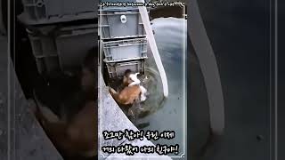 영어 한마디 Hang in there! We&#39;re almost there, my friend.