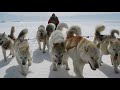 Федор Конюхов. Арктика 2013. Feodor Konyukhov. Expedition "Karelia - the North Pole - Greenland"
