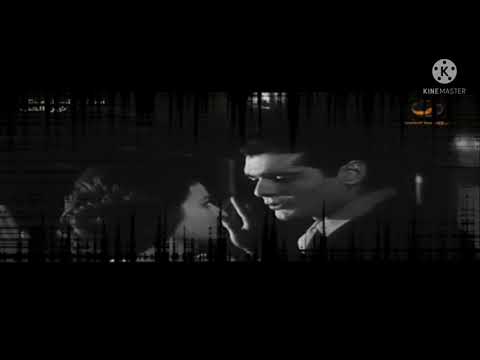 دا مافيش حاجه فيك مش وحشاني