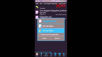 How to modify your Flappy Bird highscore - Tutorial (Cheat) ModDatGame
