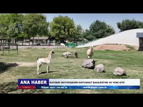 KAYSERİ BÜYÜKŞEHİR HAYVANAT BAHÇESİ’NE 59 YENİ ÜYE
