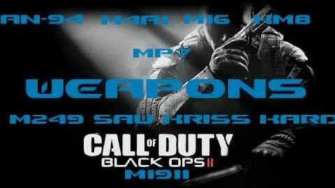 New Black Ops 2 Aassualt Rifles,Sub-Machine Guns,Light Machine Guns and Pistols