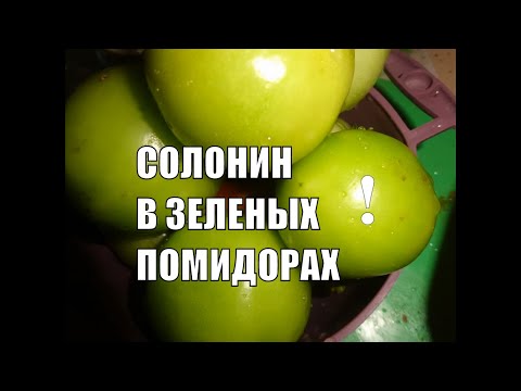 Зеленые помидоры Чем могут навредить здоровью