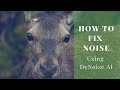 How to Reduce Noise in a Photo | Rescue High ISO Grainy Images with DeNoise AI