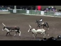 John Payne - The One Arm Bandit - Night of the Horse 2017 - Del Mar National Horse Show