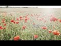 SPARKLING☆CHERRY「素直になれたら」-If I Could Be Honest- feat.Makoto Matsushita