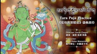 Tara Puja Practice (ཟབ་ཏིག་སྒྲོལ་མའི་ཆོ་ག)(度母甚深精要儀軌修持)