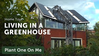 What's it Like to Live in a Greenhouse? Houseplant Home Tour — Ep 163