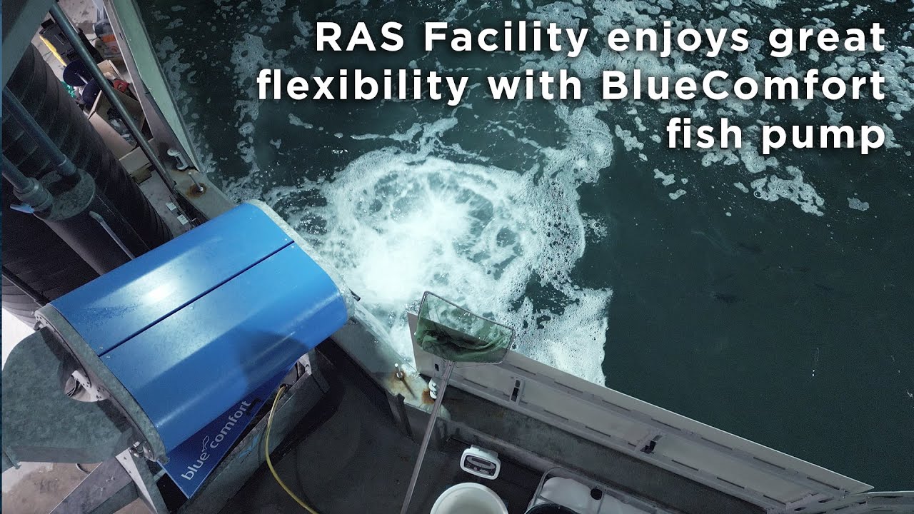 Danish RAS facility pumps salmon with great flexibility and ease - YouTube