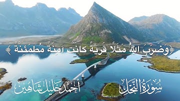 يَوْمَ تَأْتِي كُلُّ نَفْسٍ تُجَادِلُ عَنْ نَفْسِهَا _ تلاوة الشيخ احمد خليل شاهين _ Surah An-Nahl
